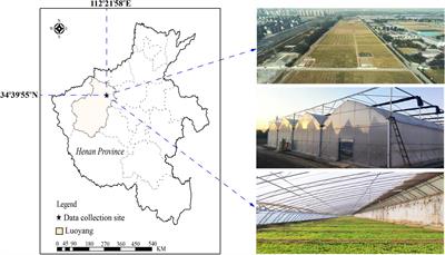 Classification of plug seedling quality by improved convolutional neural network with an attention mechanism